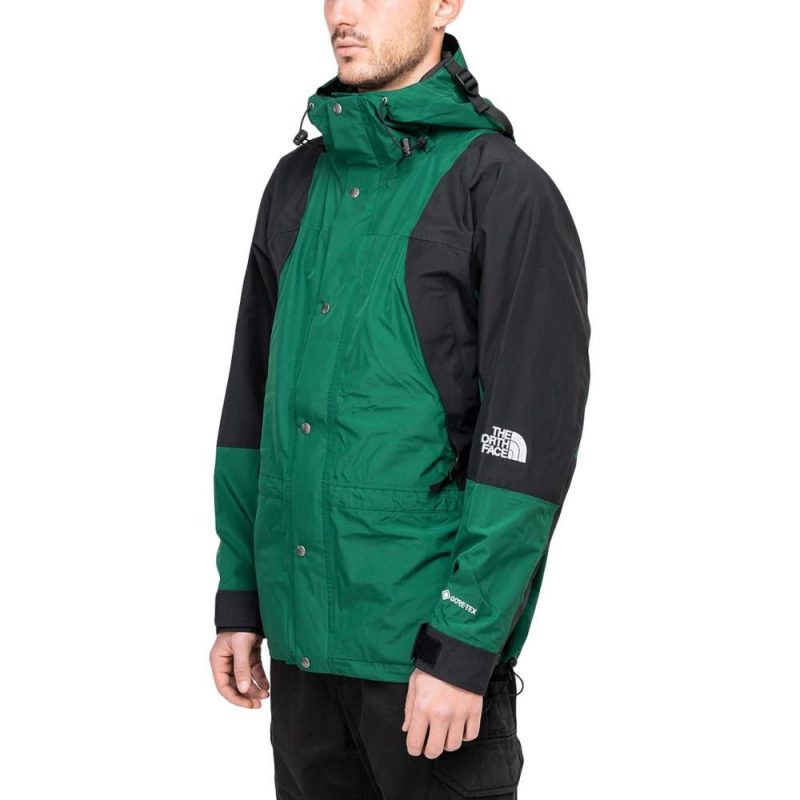 the north face94 retro mountain light gore tex jacket grun 473134